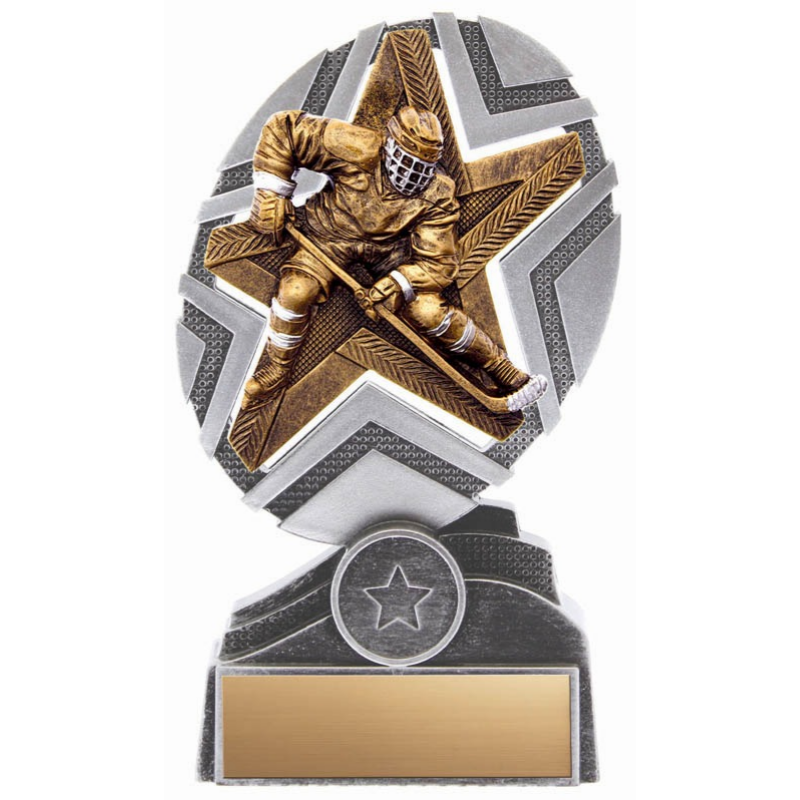 플레이어 트로피 / PXPQ2447