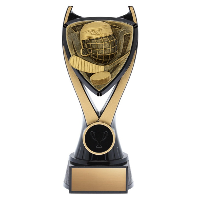 플레이어 트로피 / SXV62010